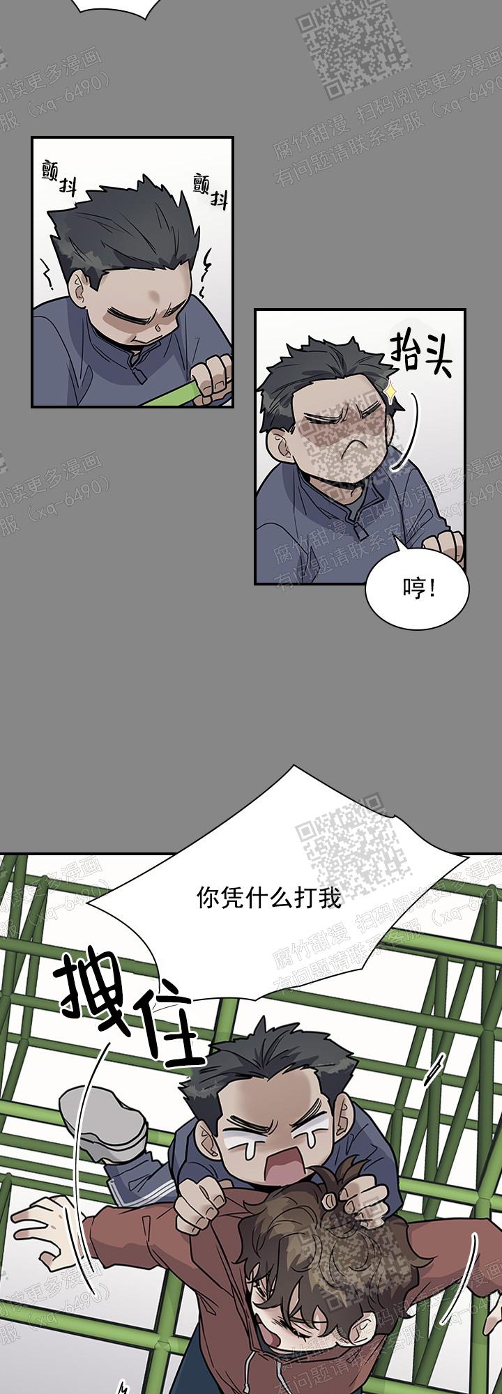 17.jpg