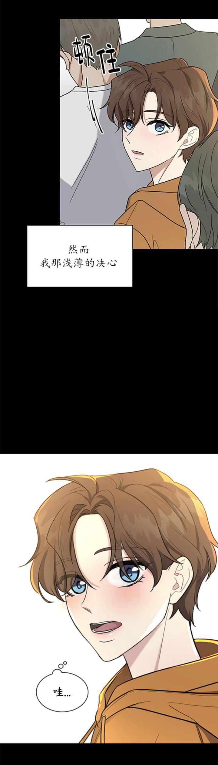 19.jpg