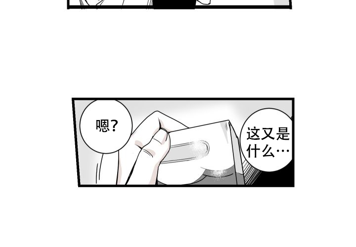 13.jpg
