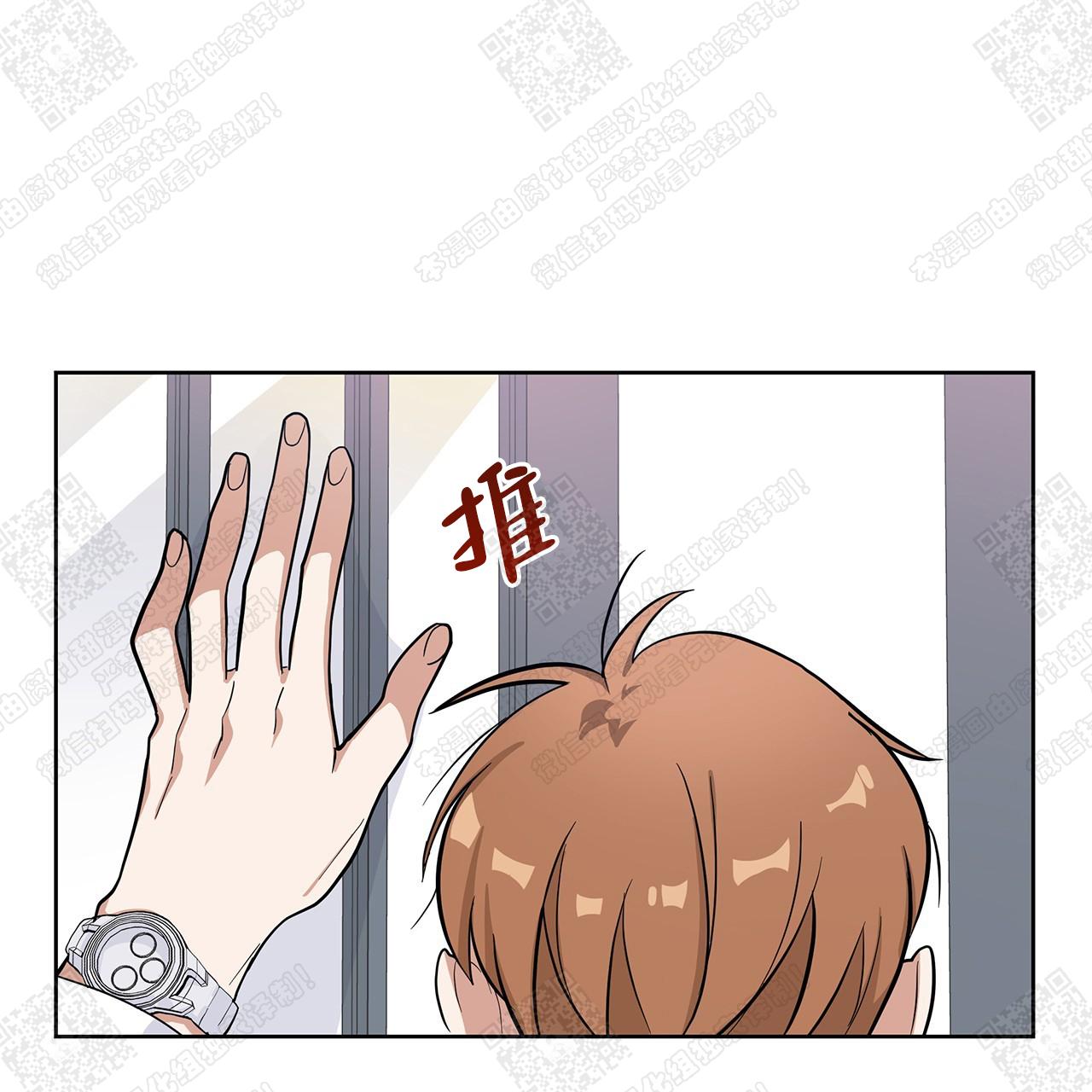 41.jpg