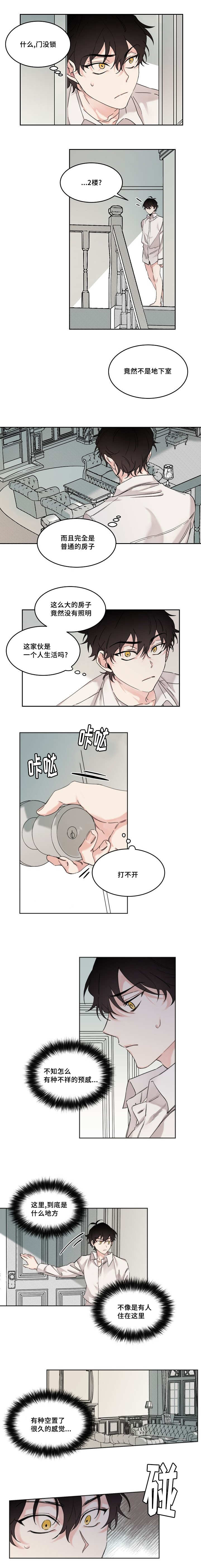 5.jpg