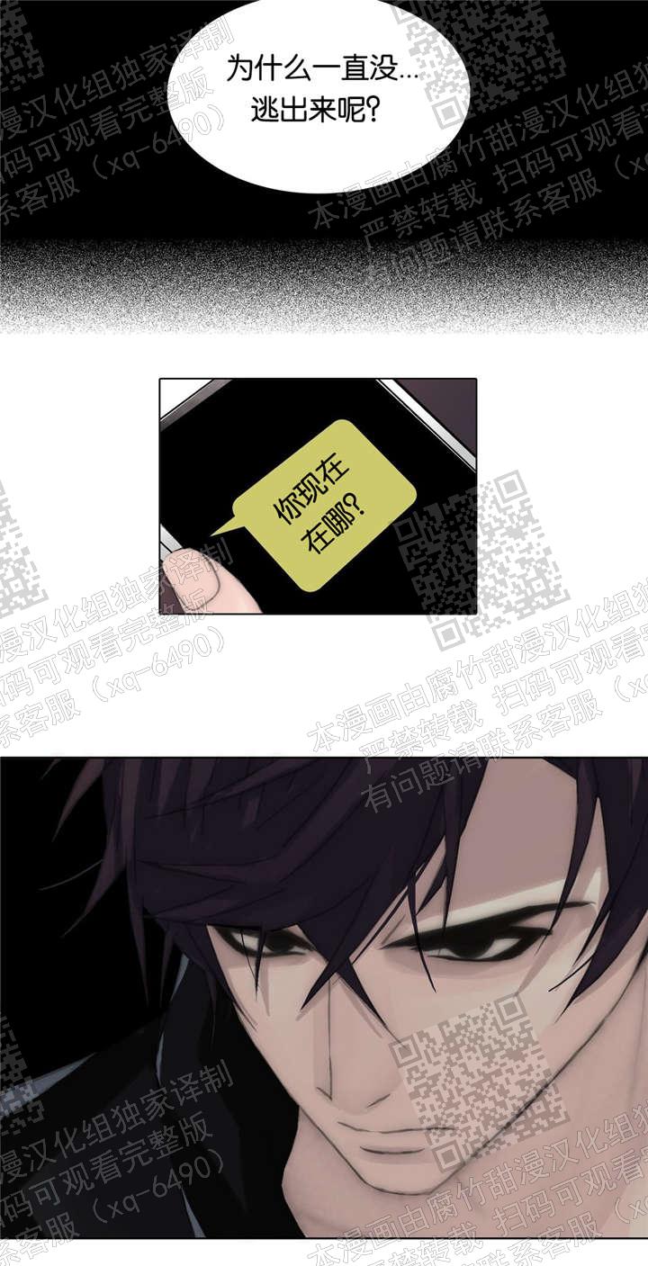 12.jpg