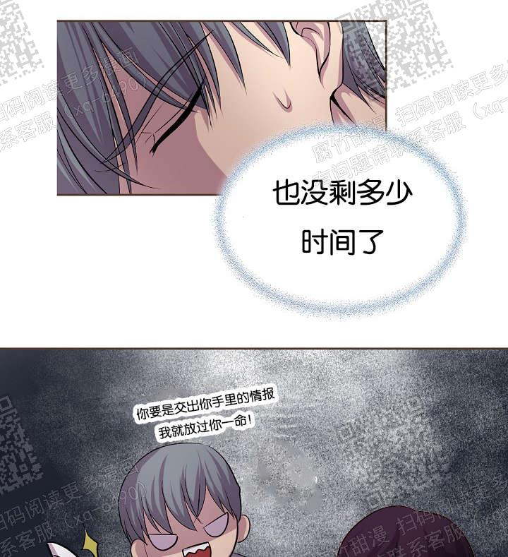 26.jpg