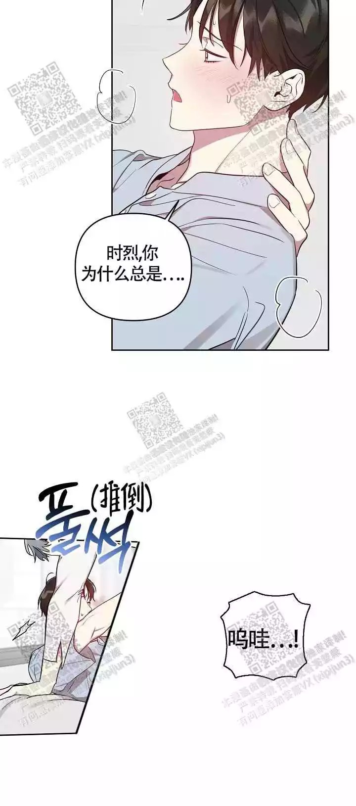 13.jpg