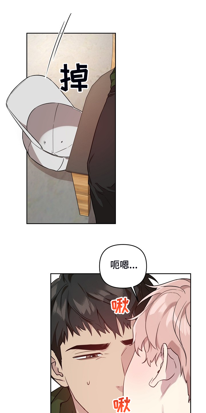 11.jpg