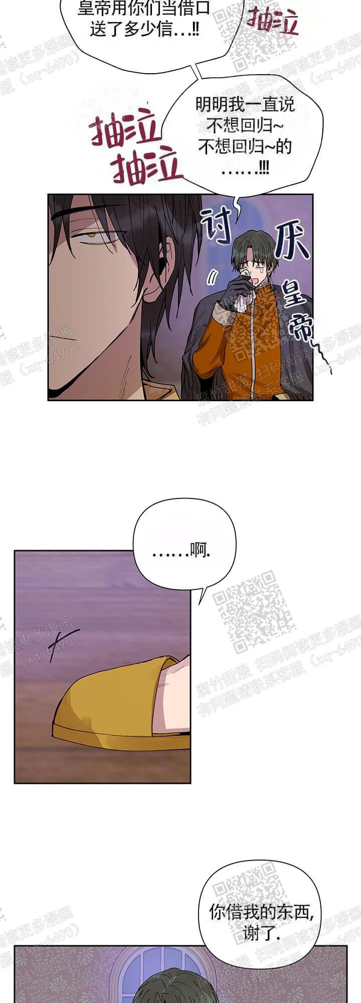 15.jpg