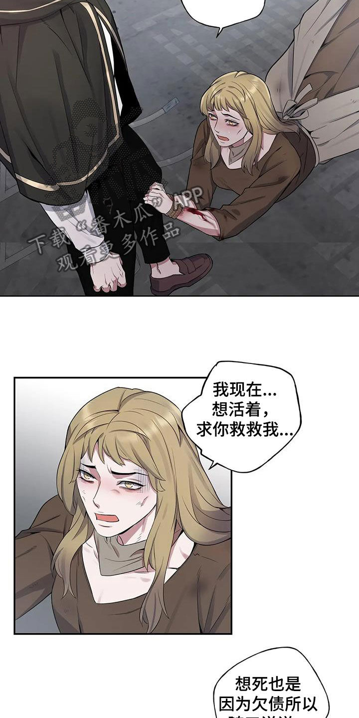 12.jpg