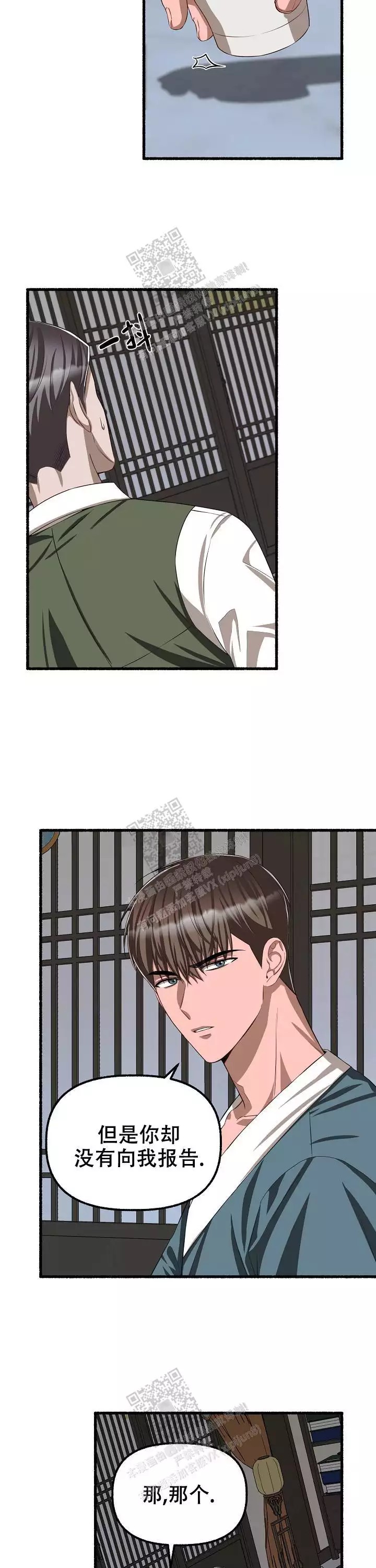 11.jpg