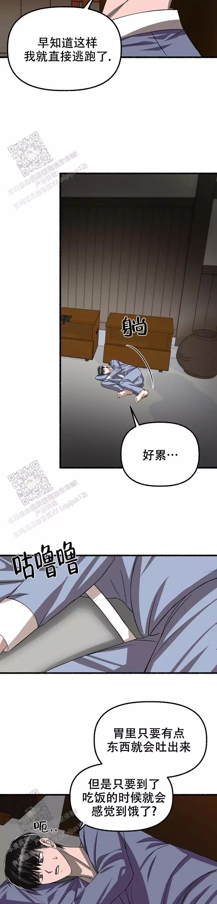 5.jpg
