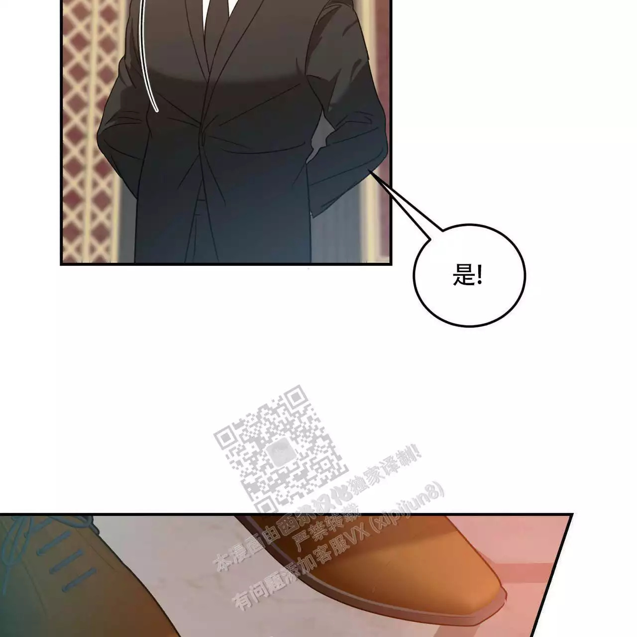 43.jpg