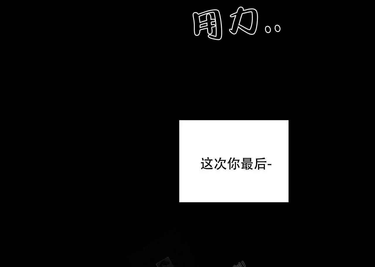 47.jpg