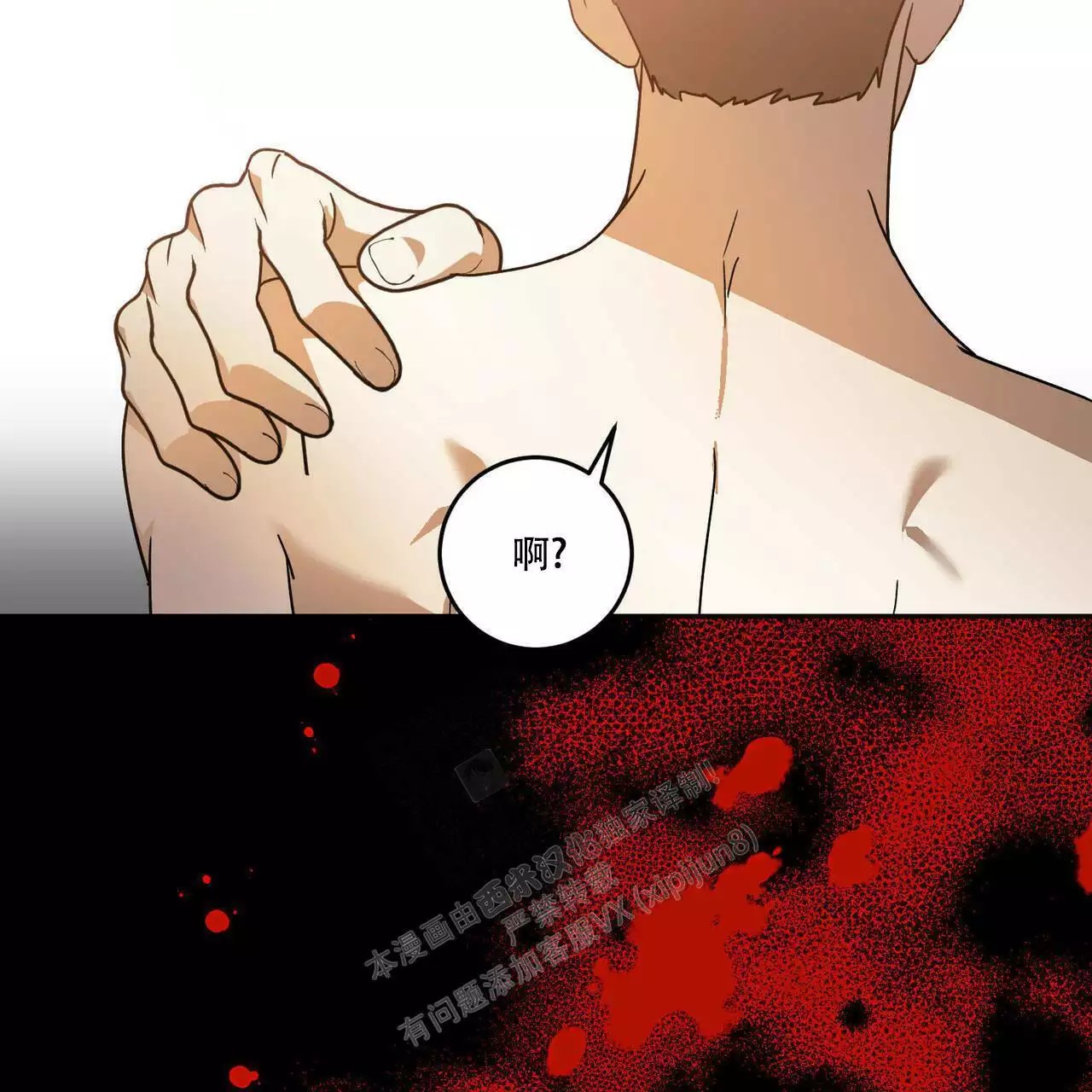 24.jpg