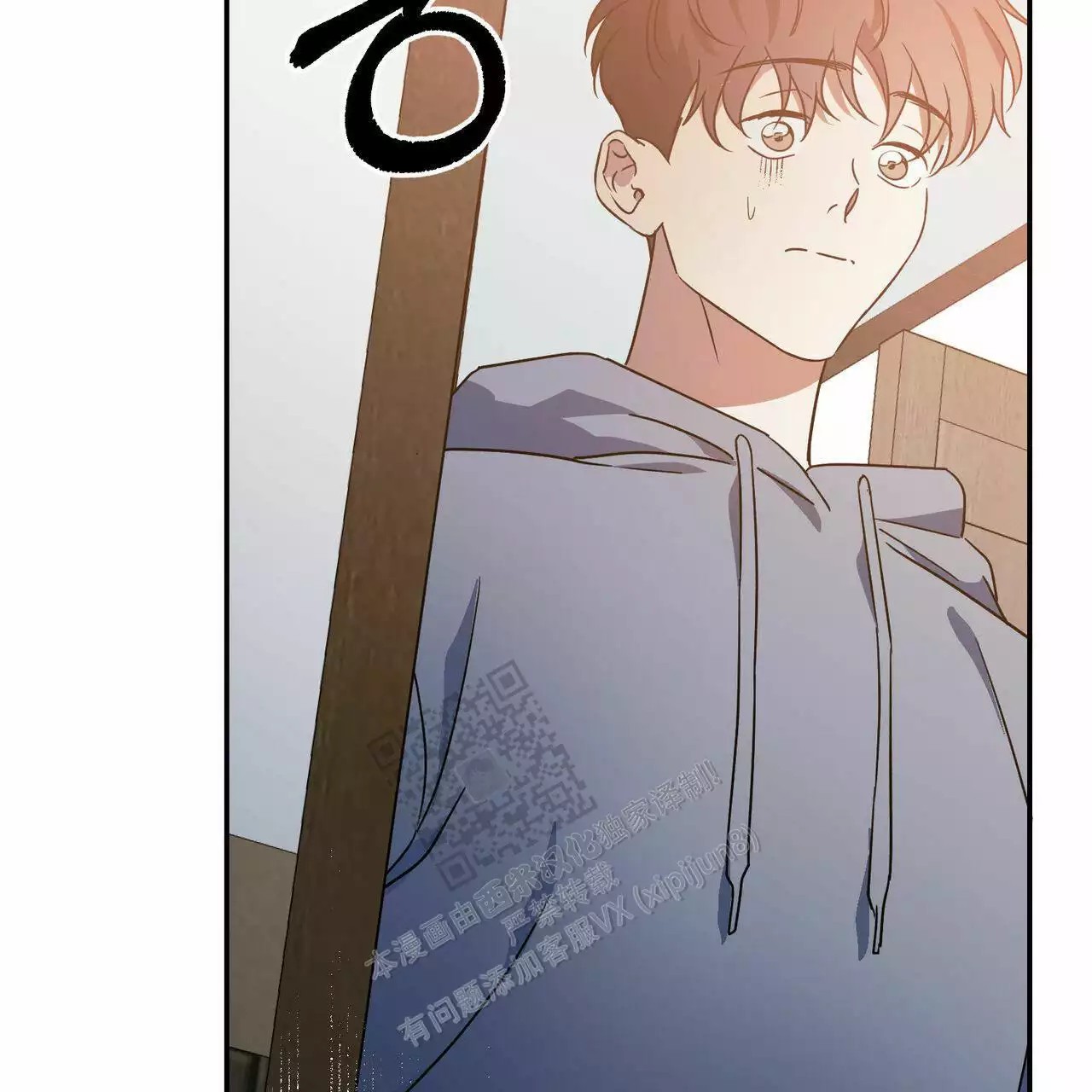 48.jpg