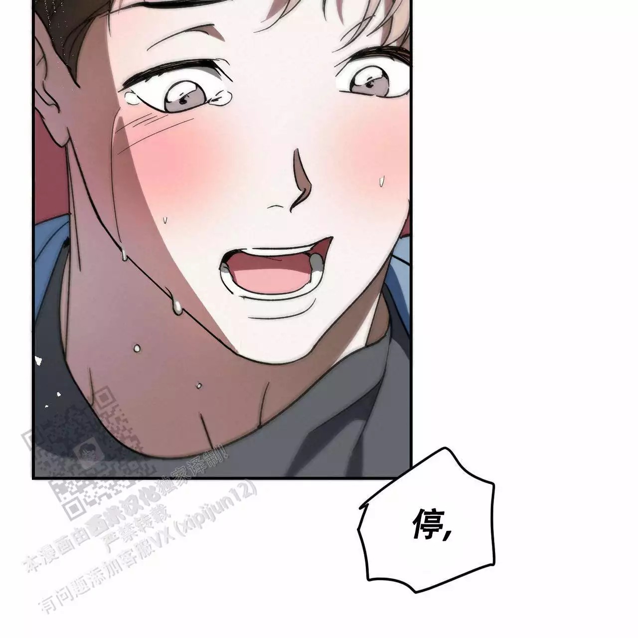 46.jpg