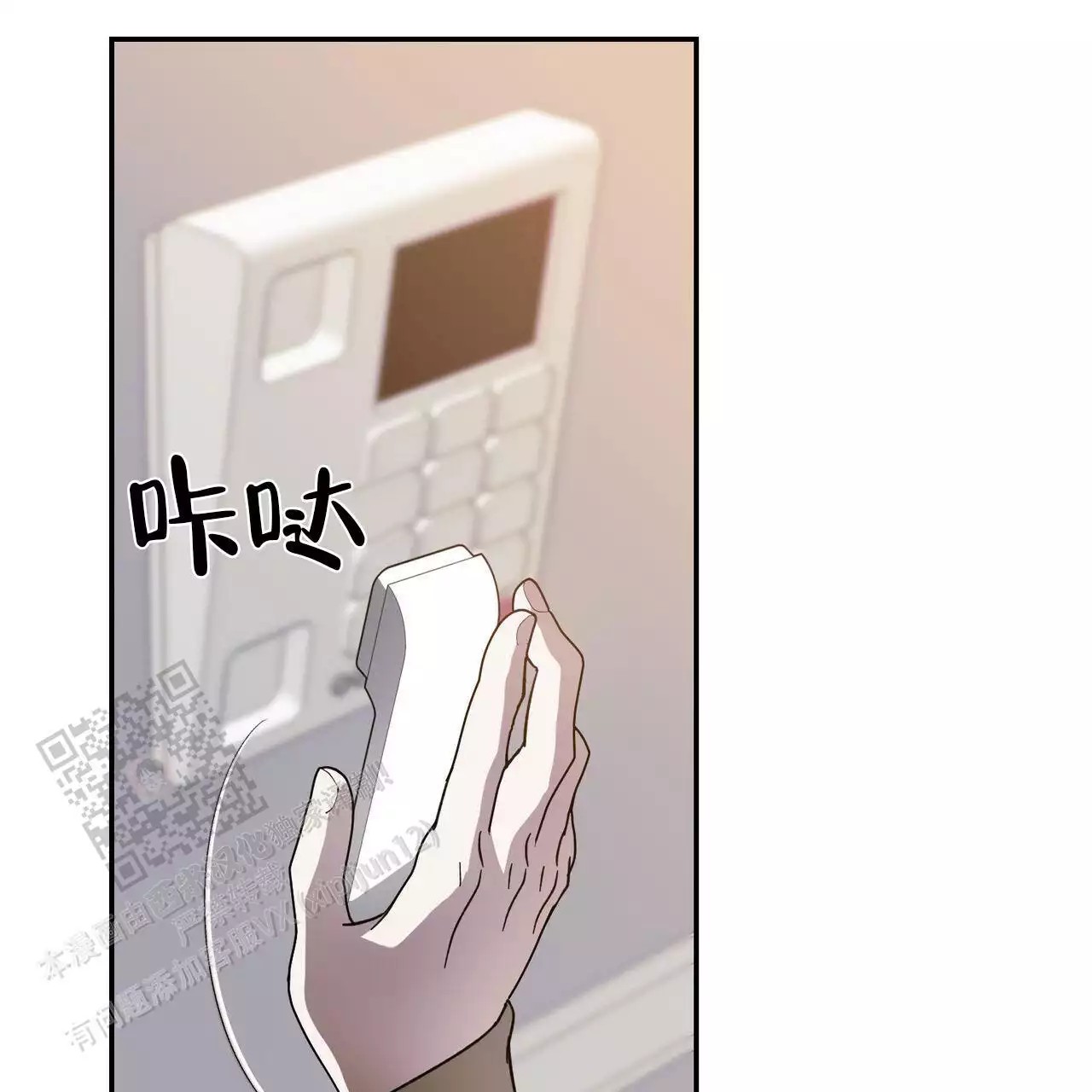 11.jpg
