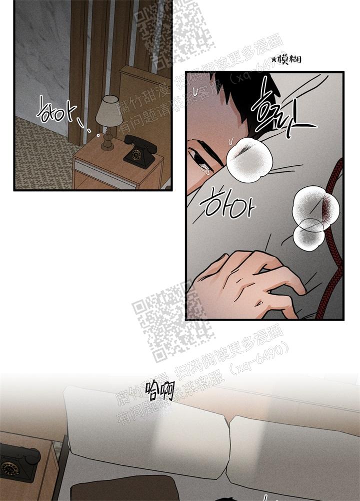 21.jpg