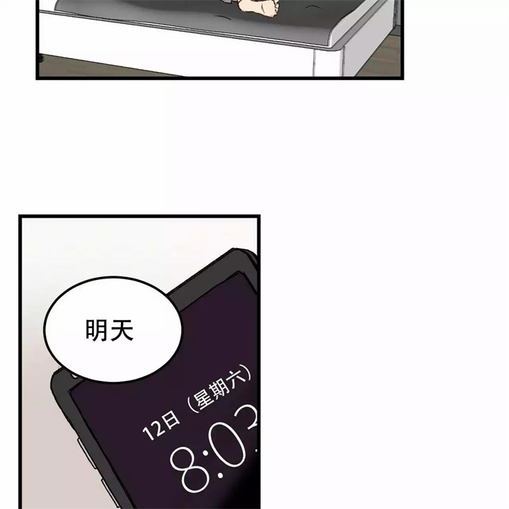 43.jpg