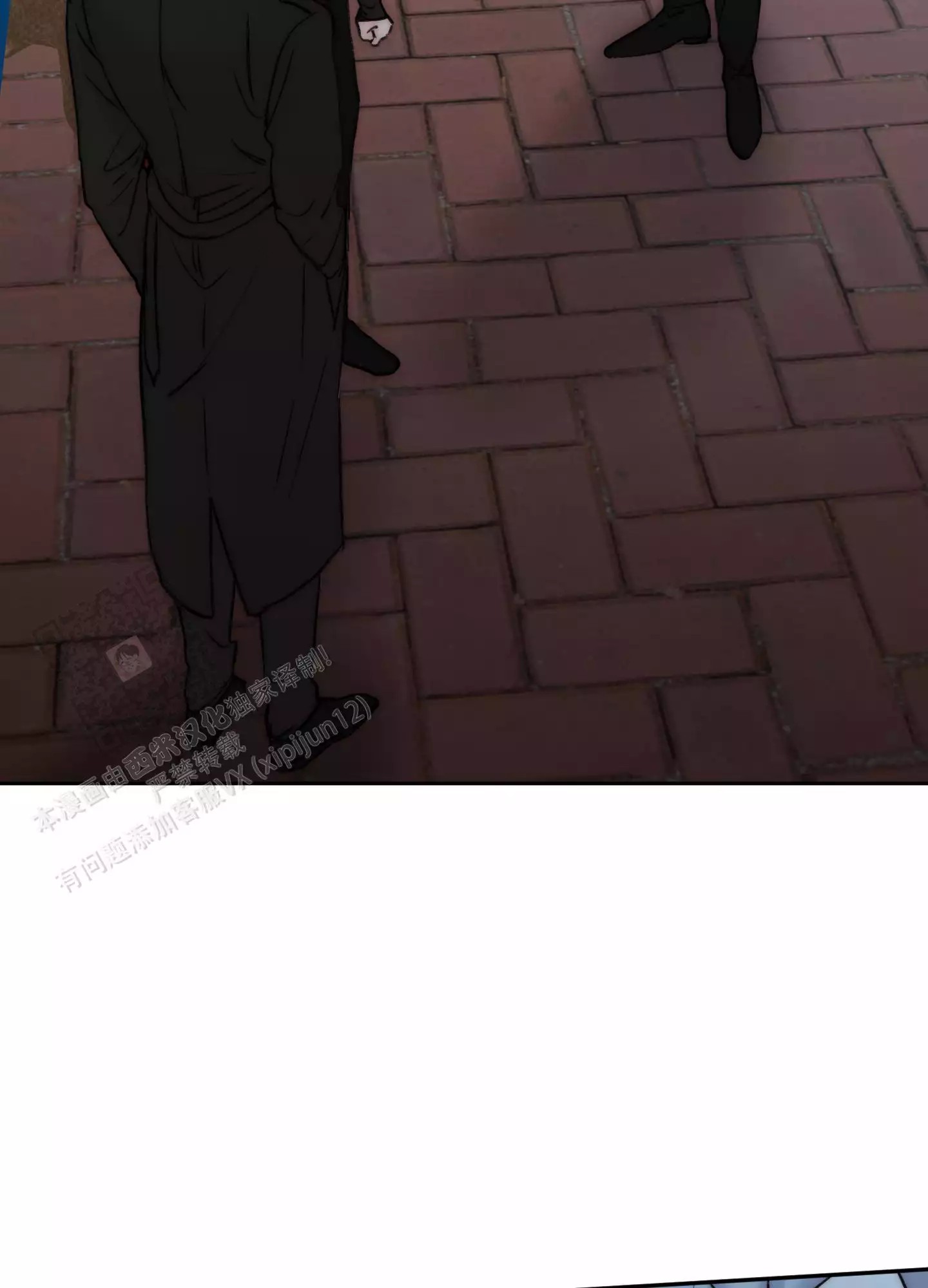 41.jpg