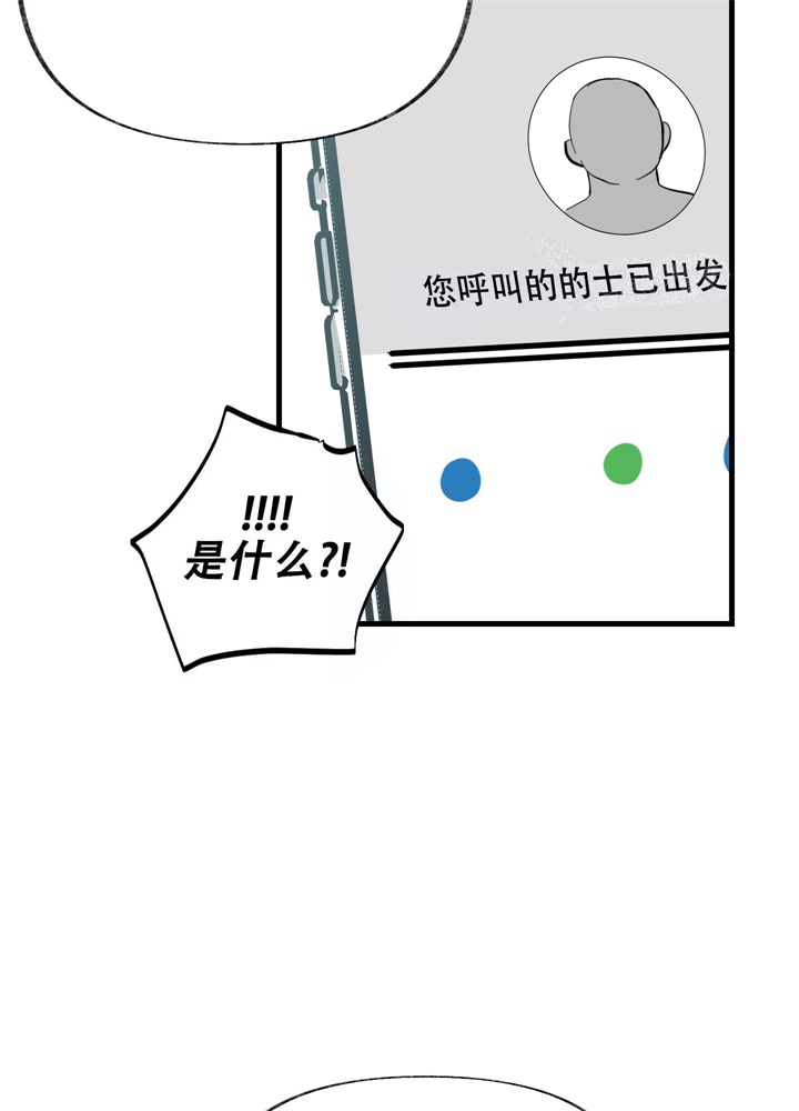 46.jpg