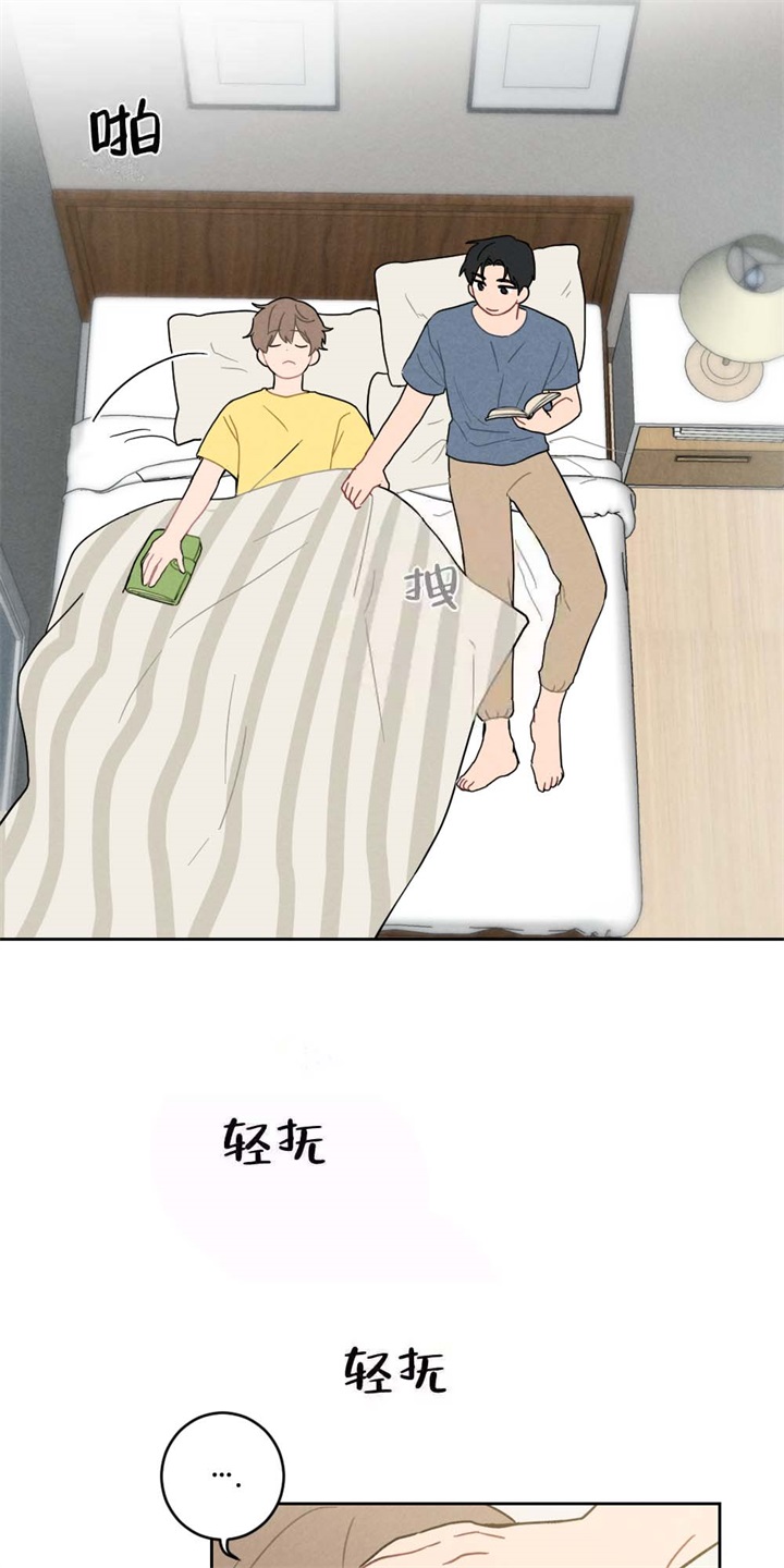 23.jpg