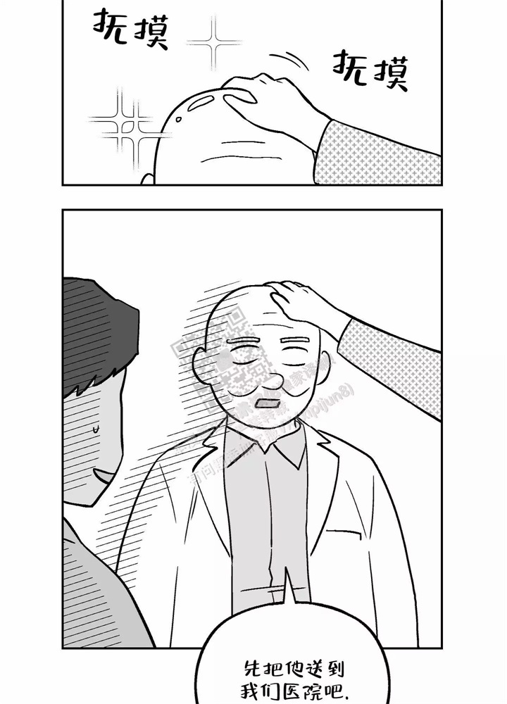 36.jpg