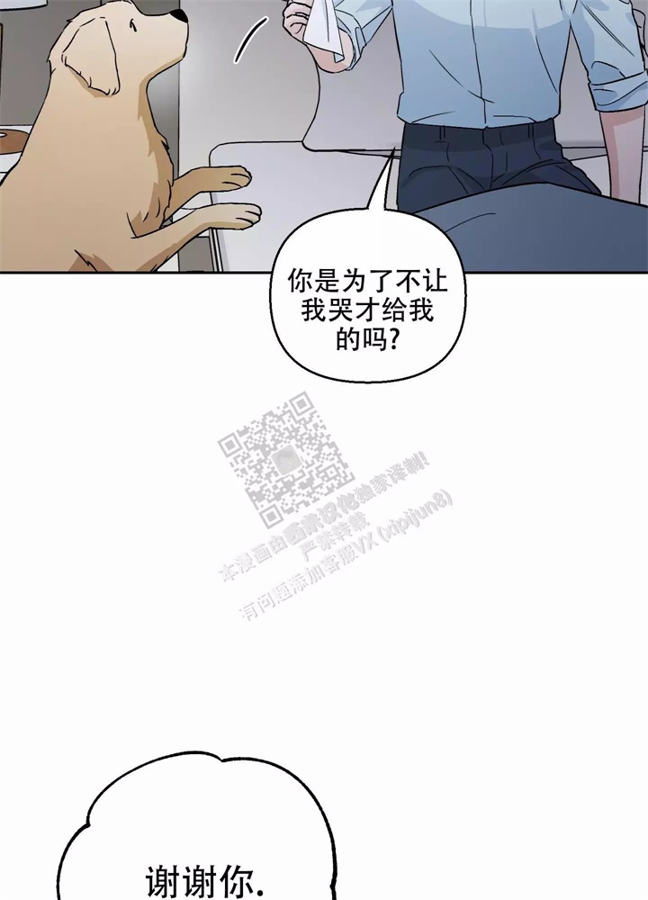 39.jpg