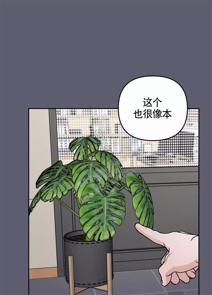 26.jpg