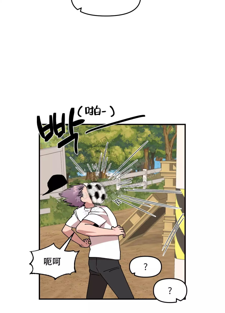 35.jpg