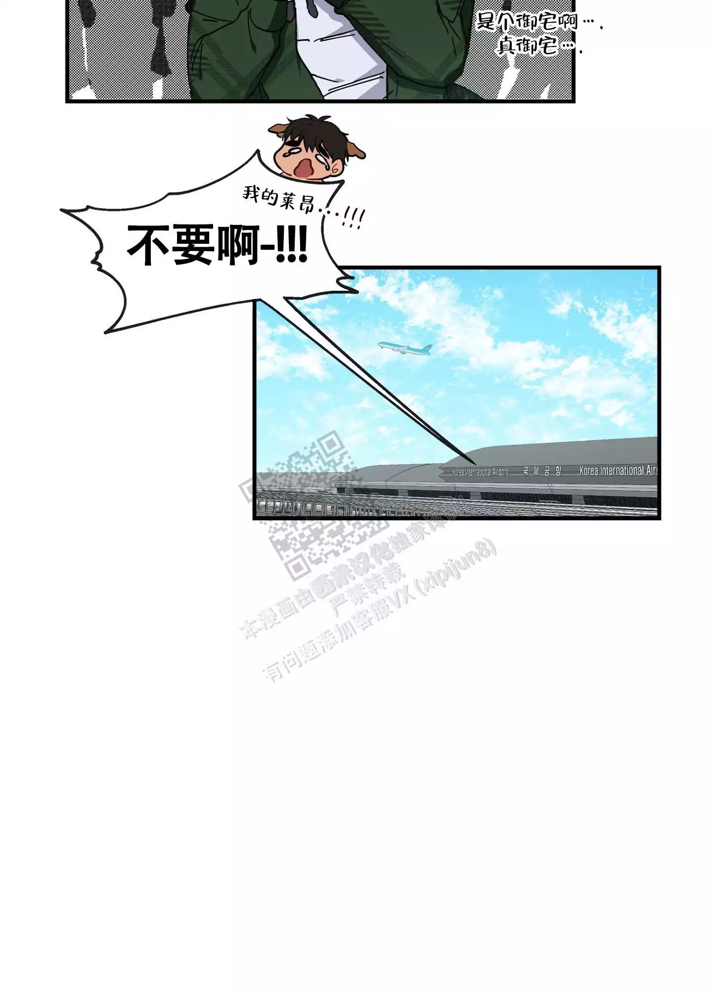 27.jpg