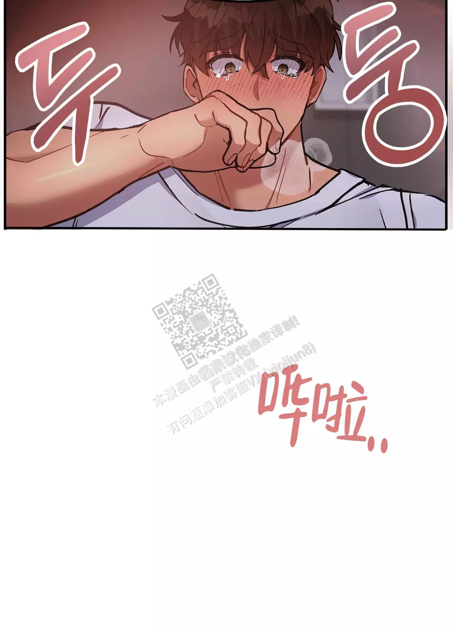 15.jpg