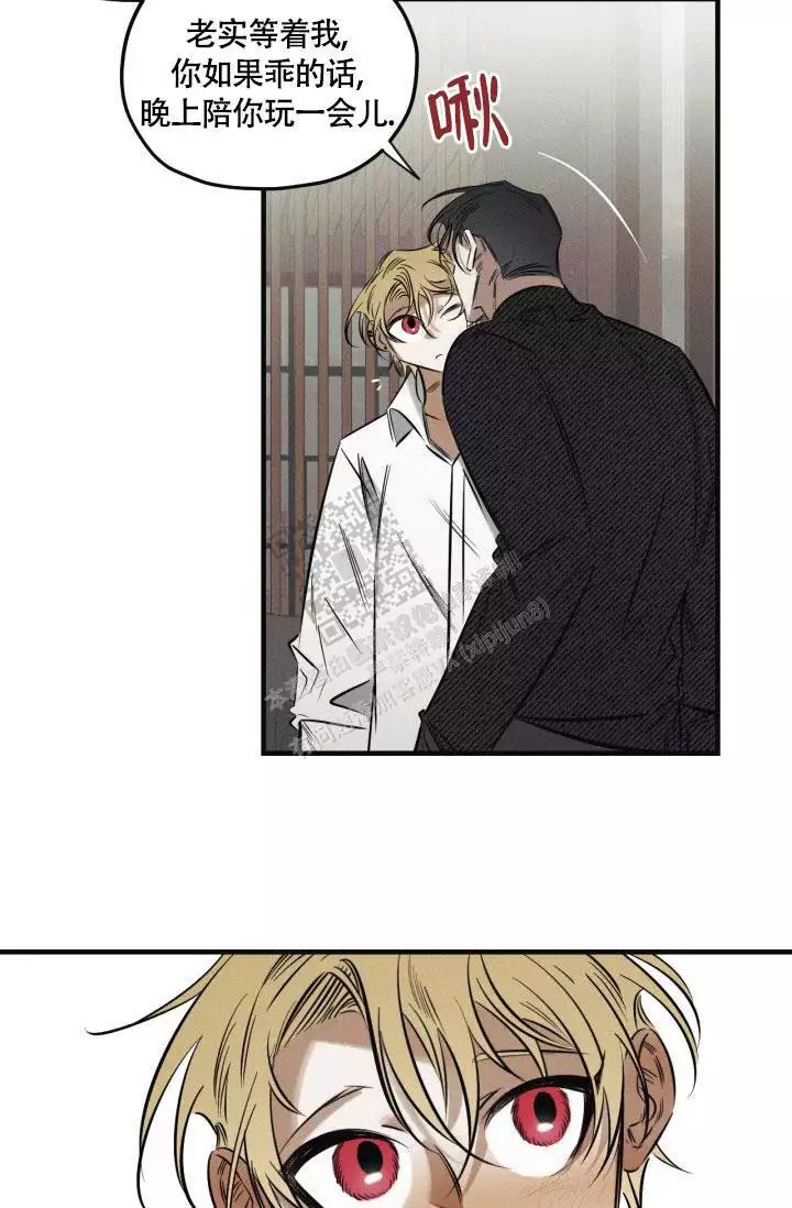 24.jpg