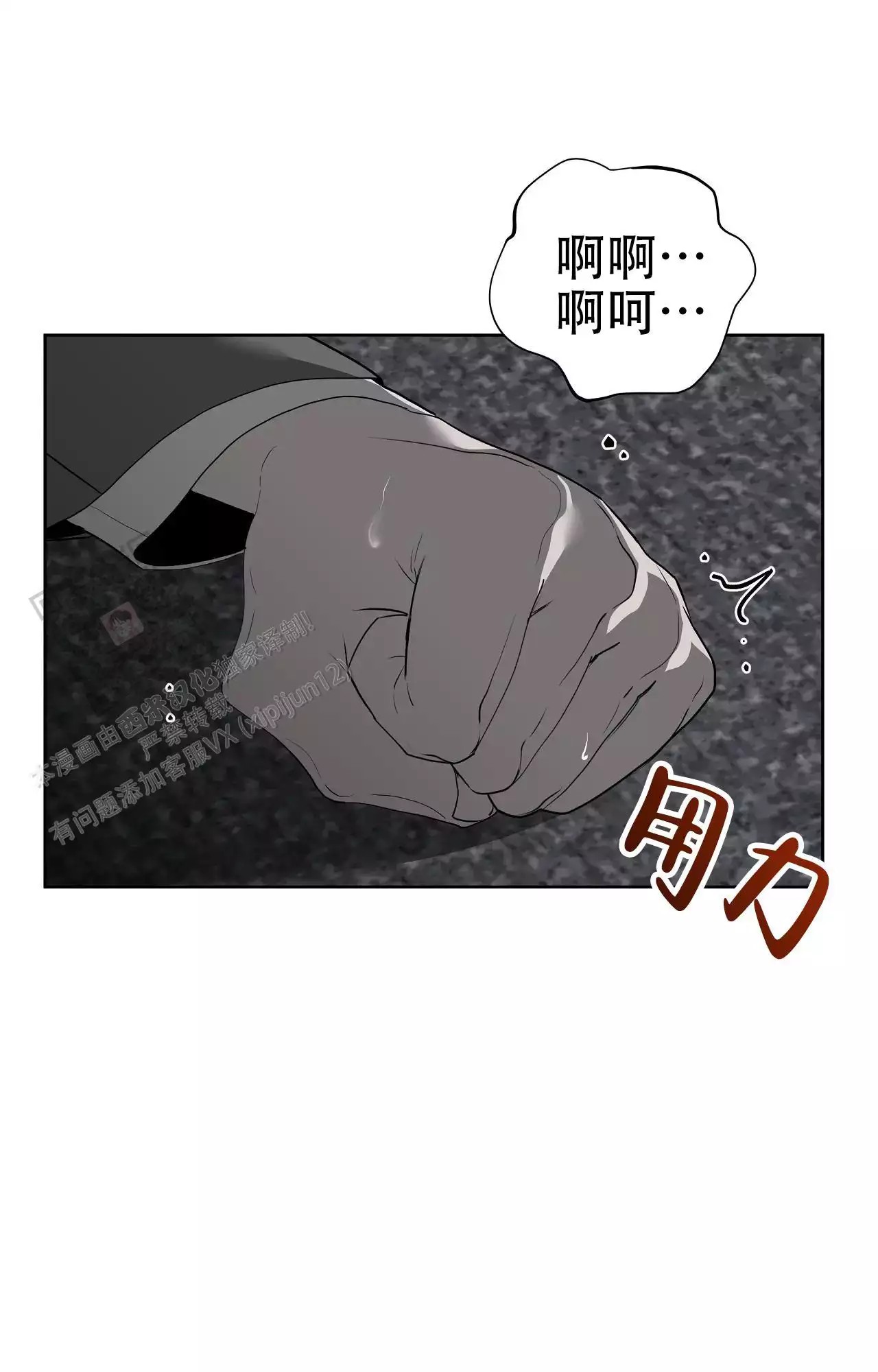 25.jpg
