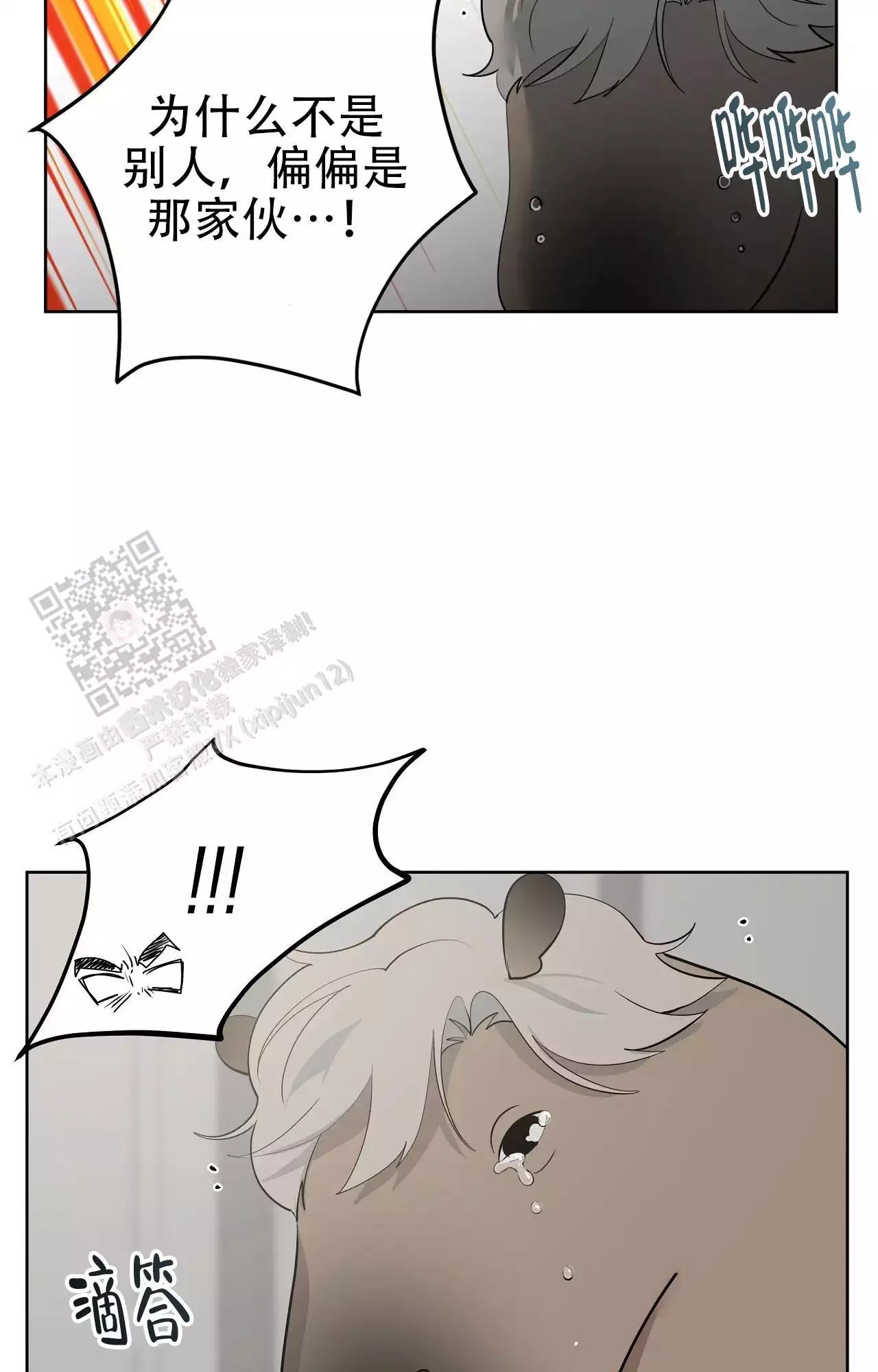 36.jpg