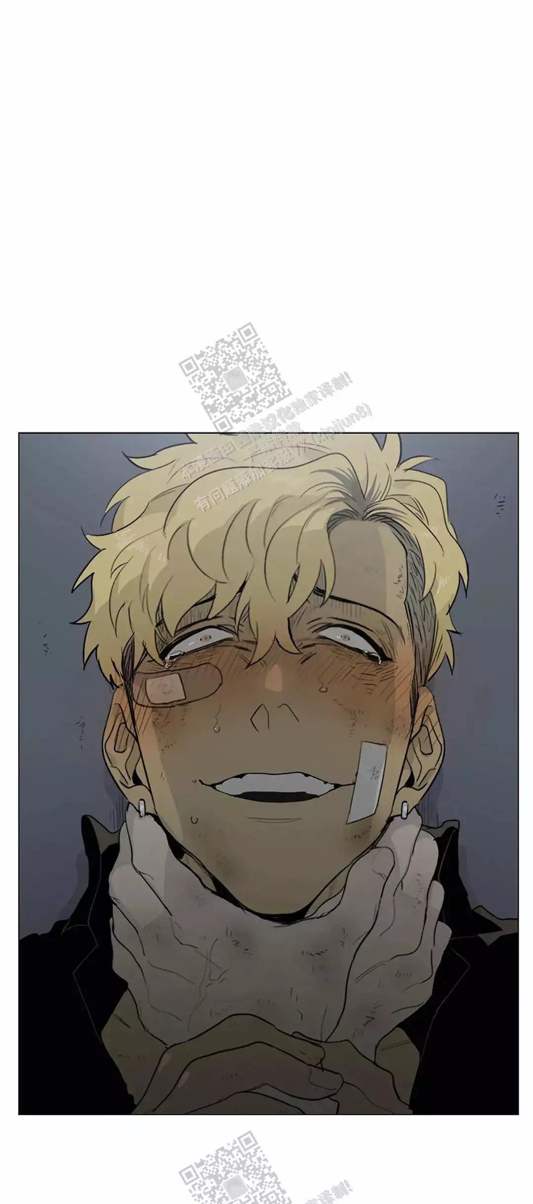 1.jpg
