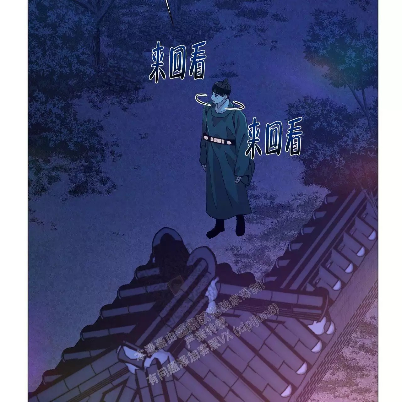 41.jpg