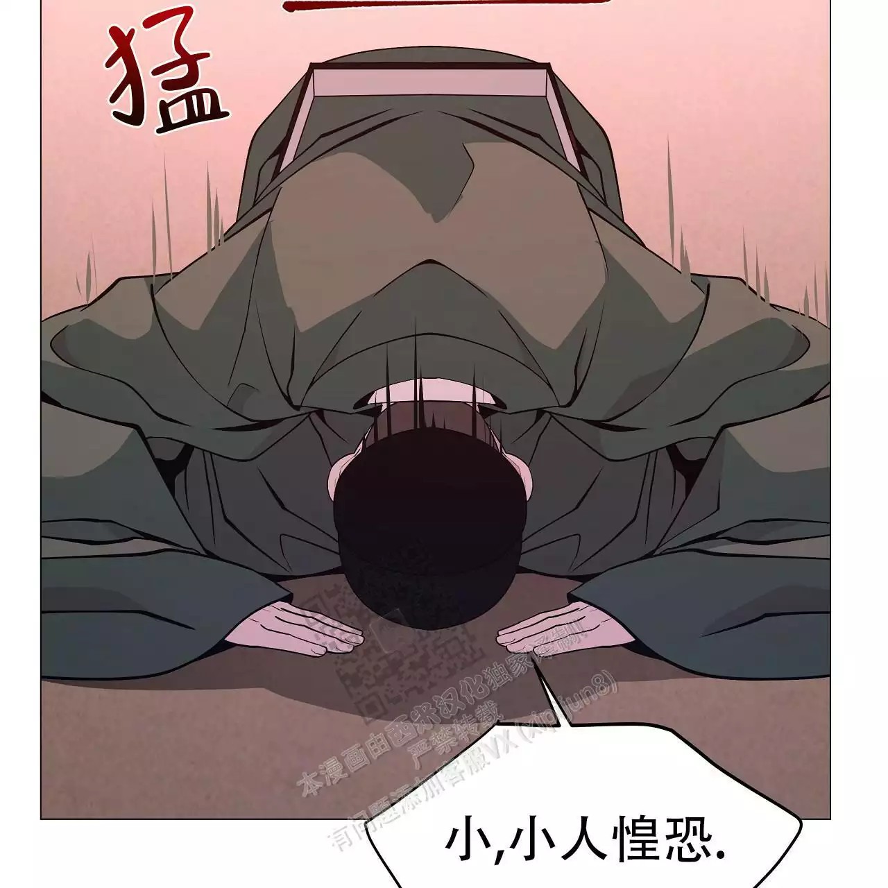 56.jpg