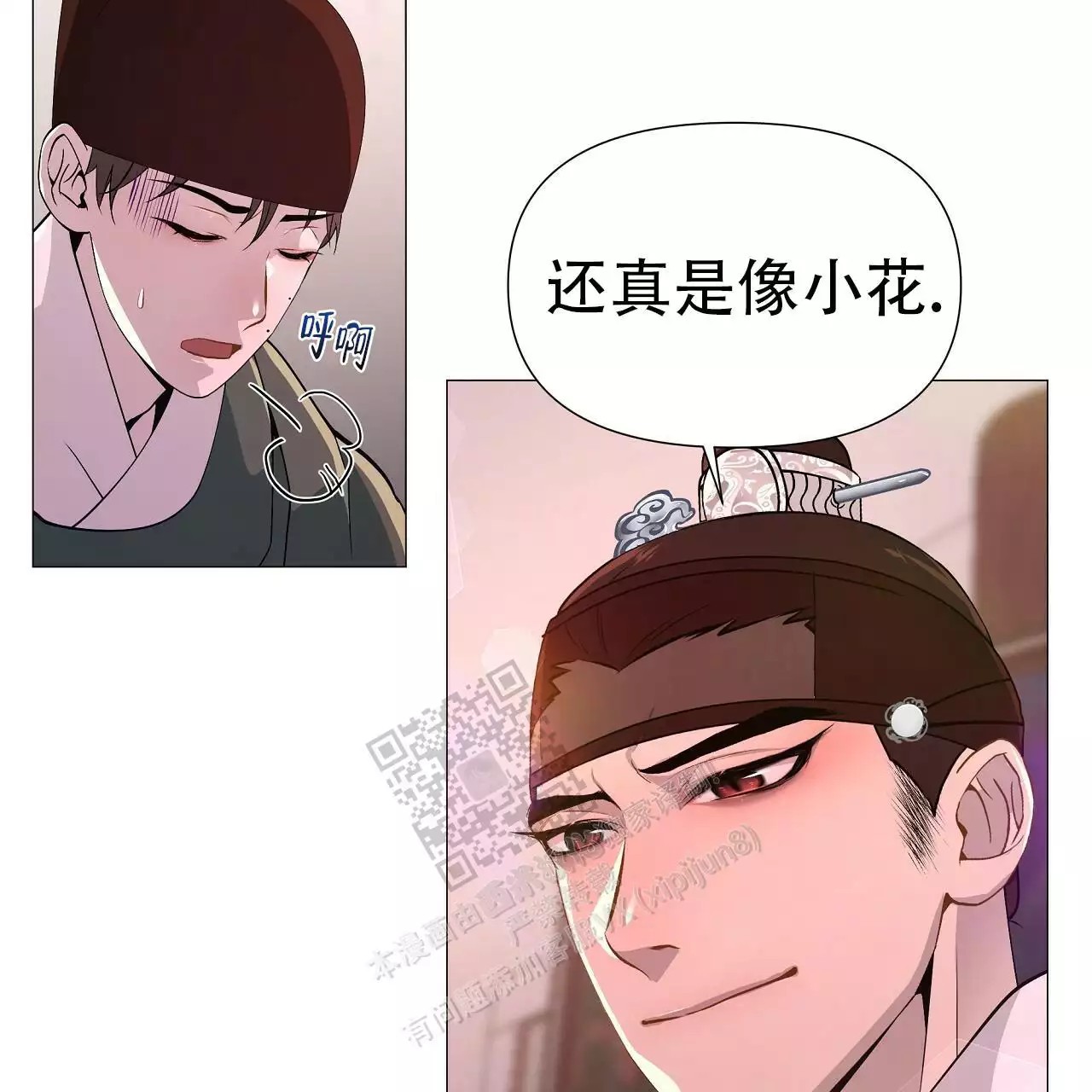 39.jpg