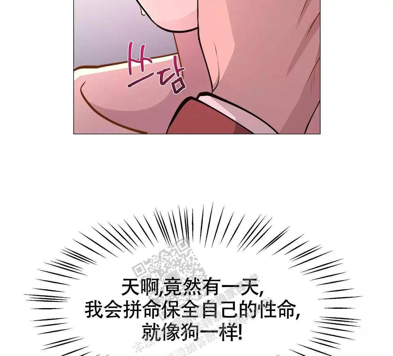 43.jpg