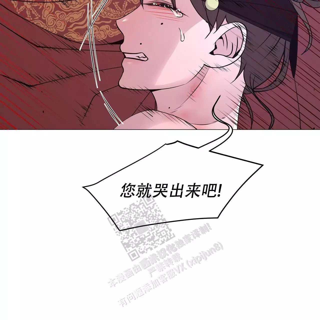 51.jpg