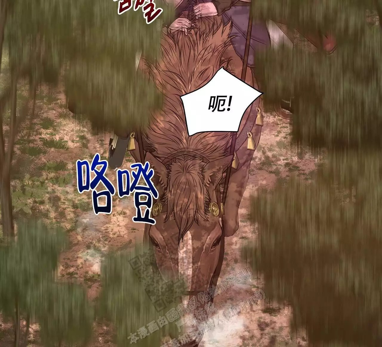 34.jpg