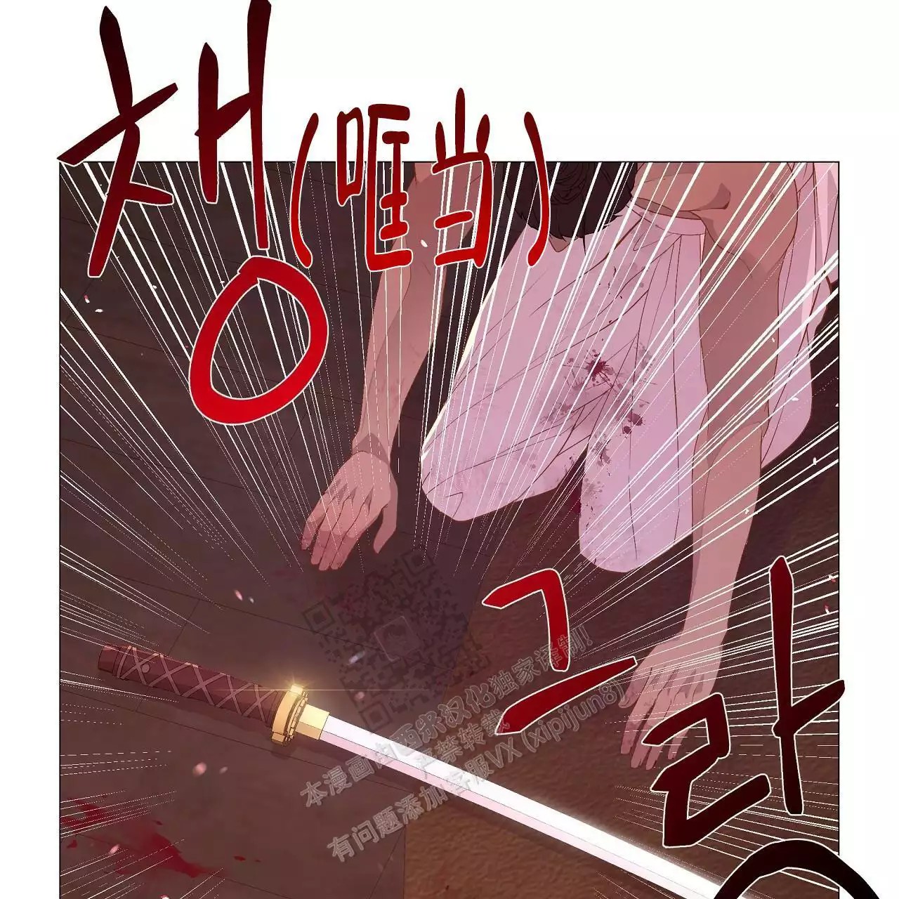 46.jpg