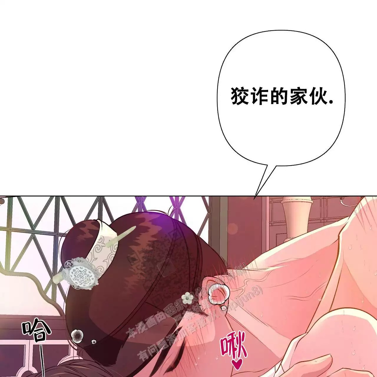 41.jpg
