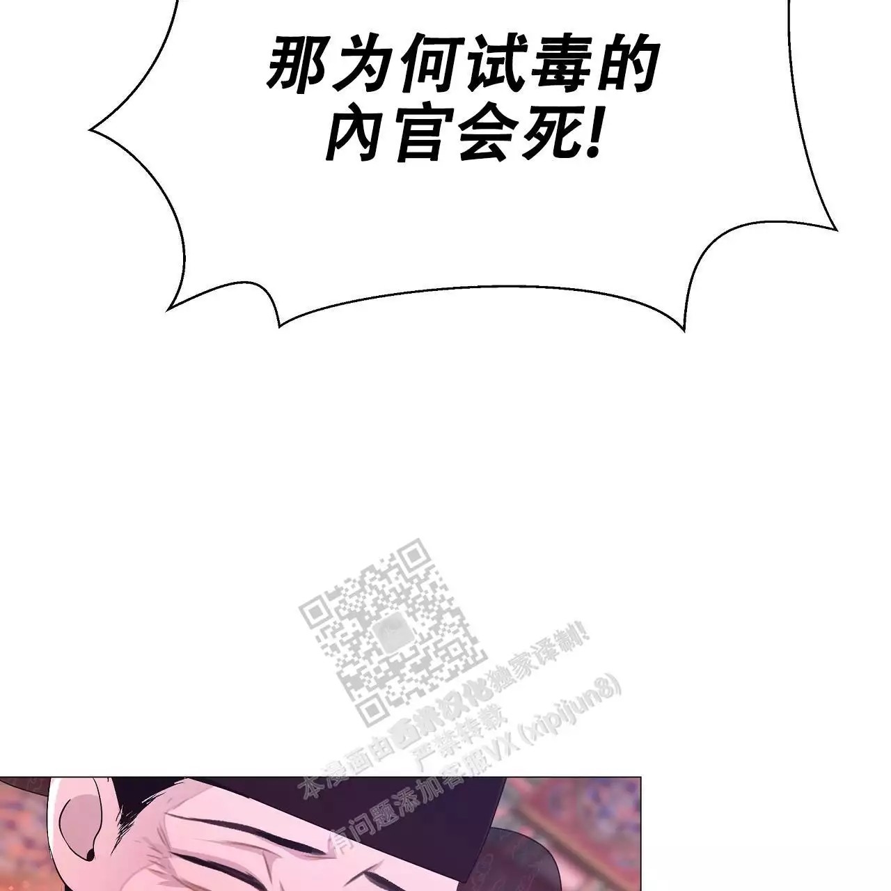41.jpg