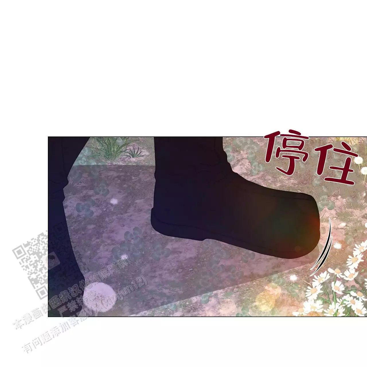 77.jpg