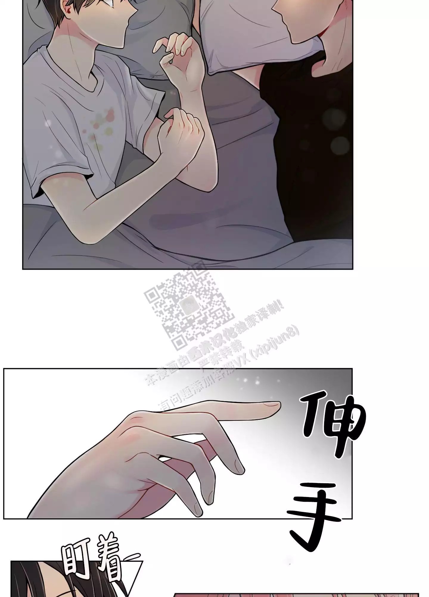 11.jpg