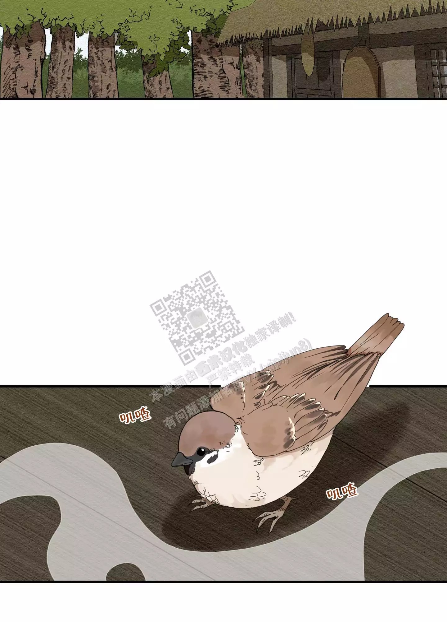 30.jpg