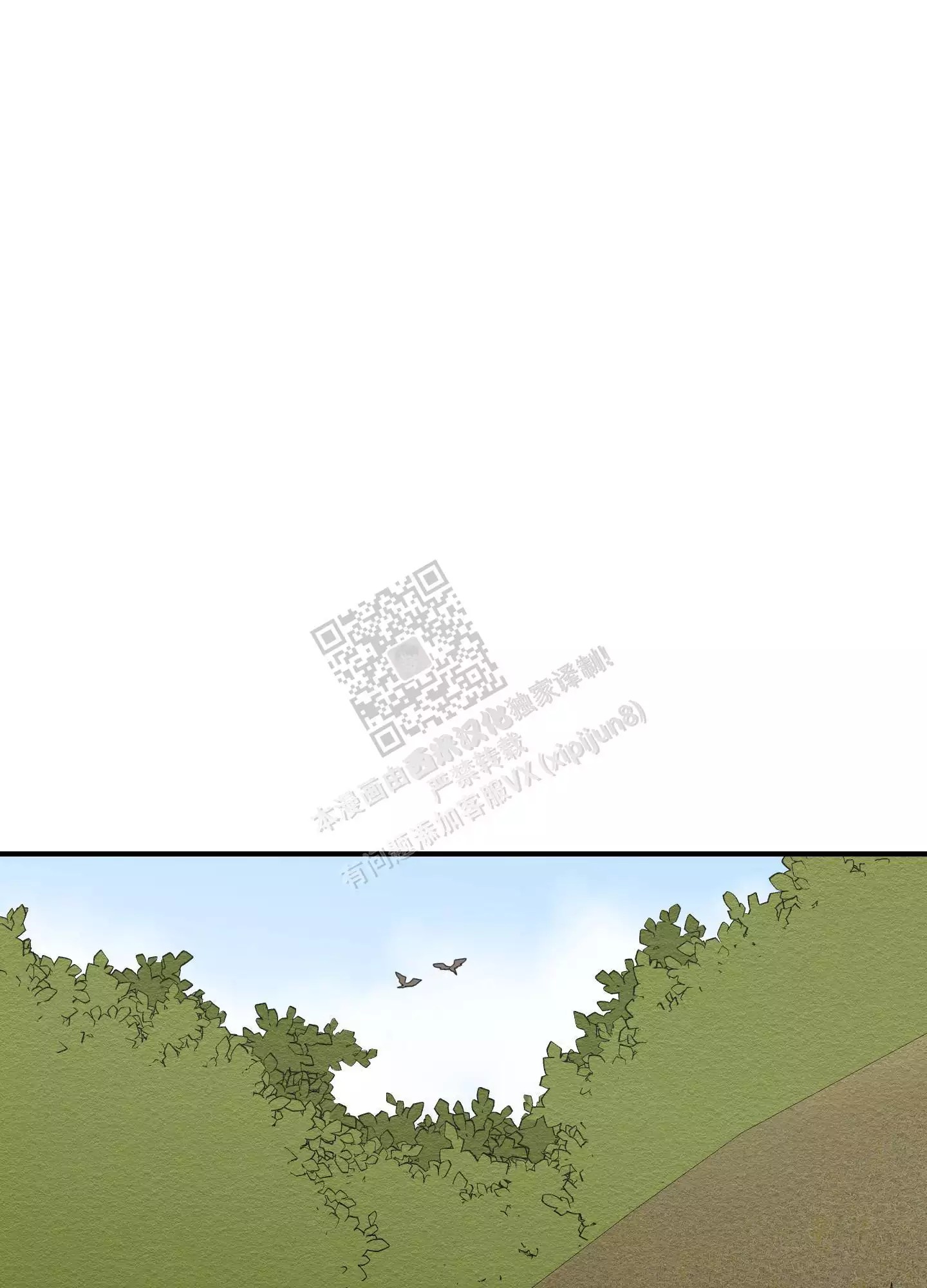 29.jpg