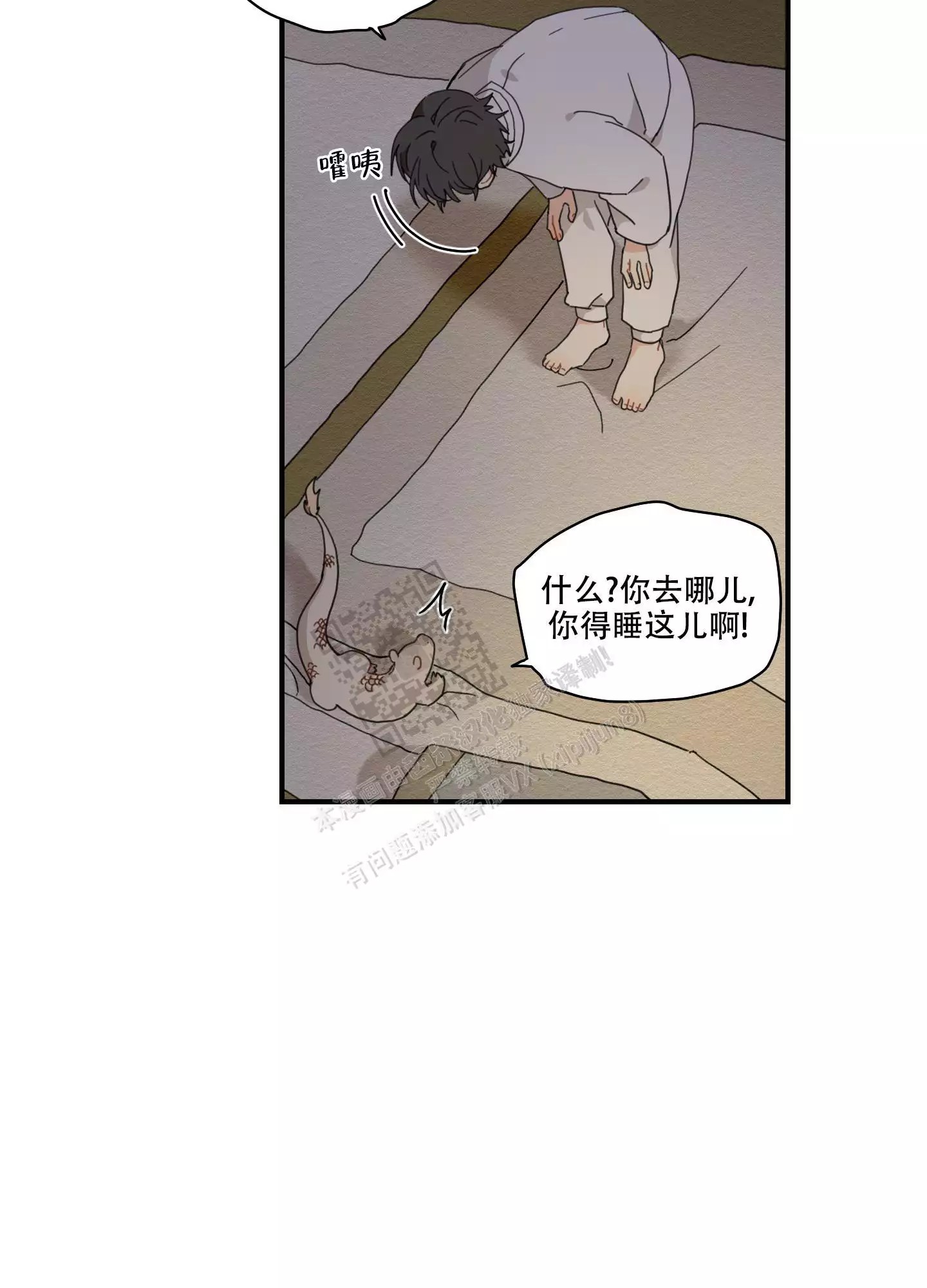 24.jpg