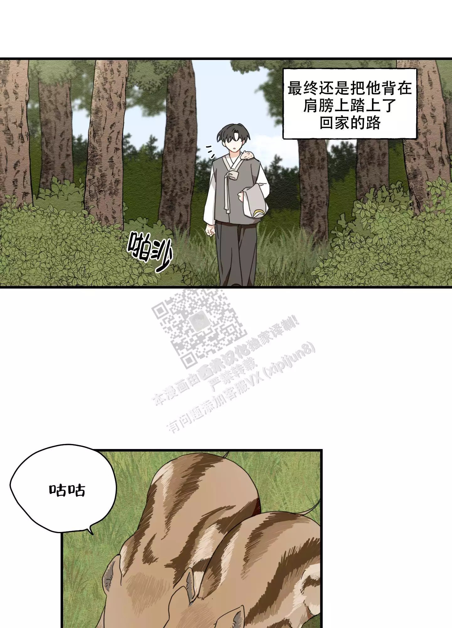 11.jpg