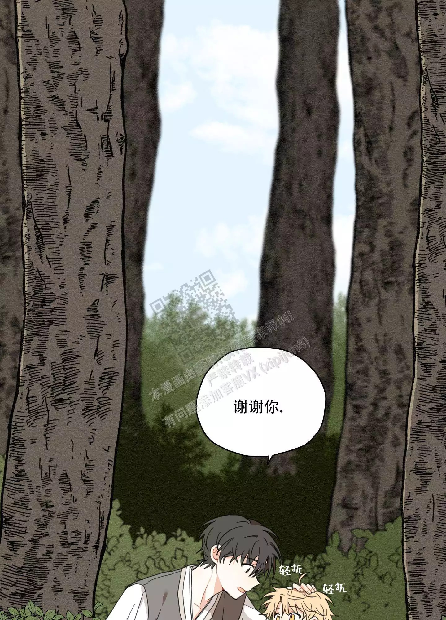27.jpg